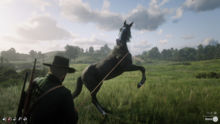 Red Dead 在线玩家称新博物学家更新使他们的马变得愚蠢 [更新]